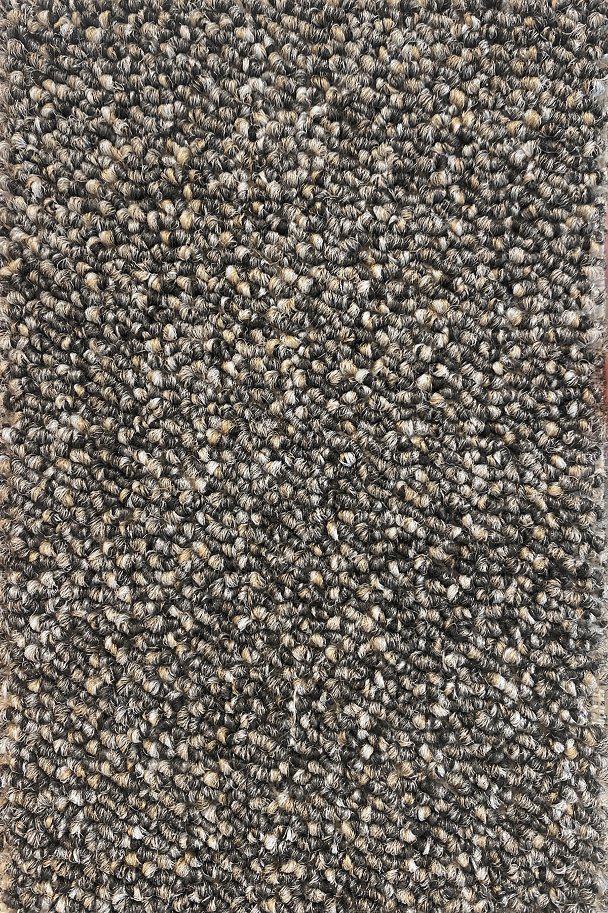 Ковровое покрытие "Bonkeel" Nero 97 (ширина 4м) — купить в Краснодаре