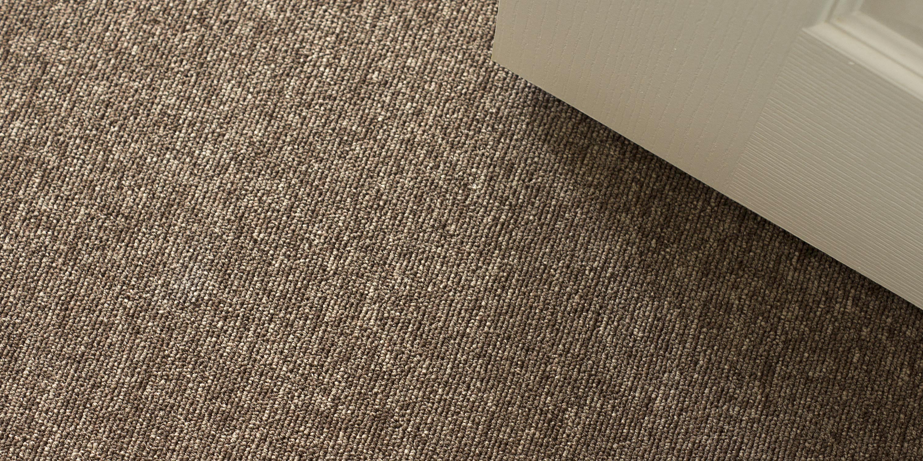 Ковролин "Зартекс" Daily 67 перепелиный (4м) — купить в Краснодаре