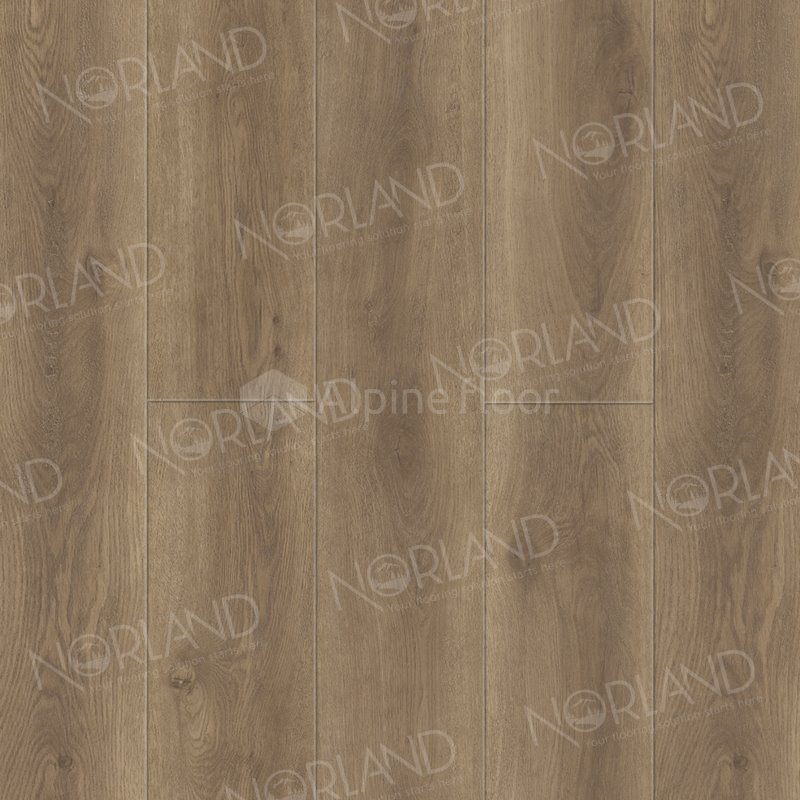 SPC Ламинат "Norland" Tista (1220*196*8 мм) — купить в Краснодаре
