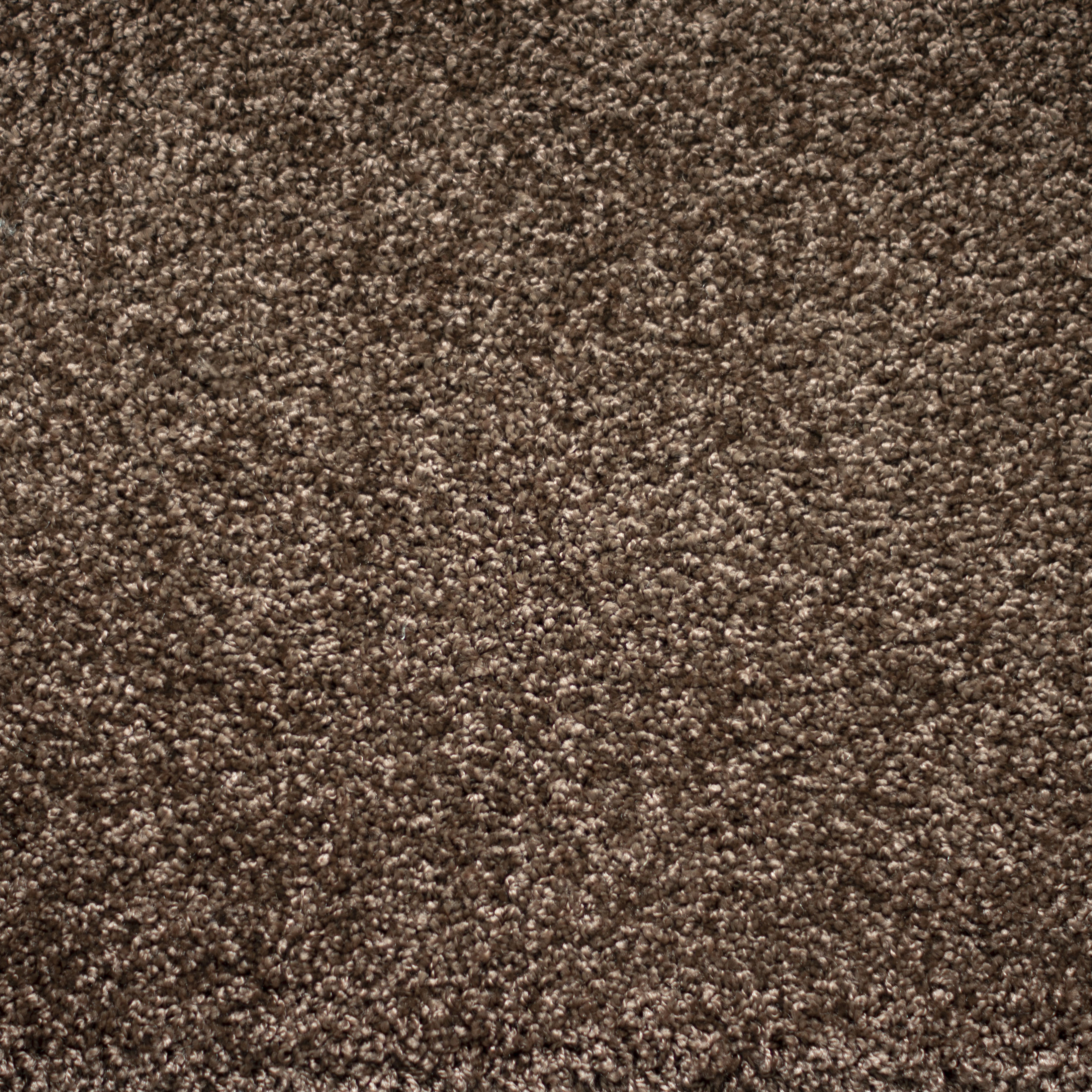 Ковролин "Зартекс" Tesoro 156 коричневый (4м) — купить в Краснодаре