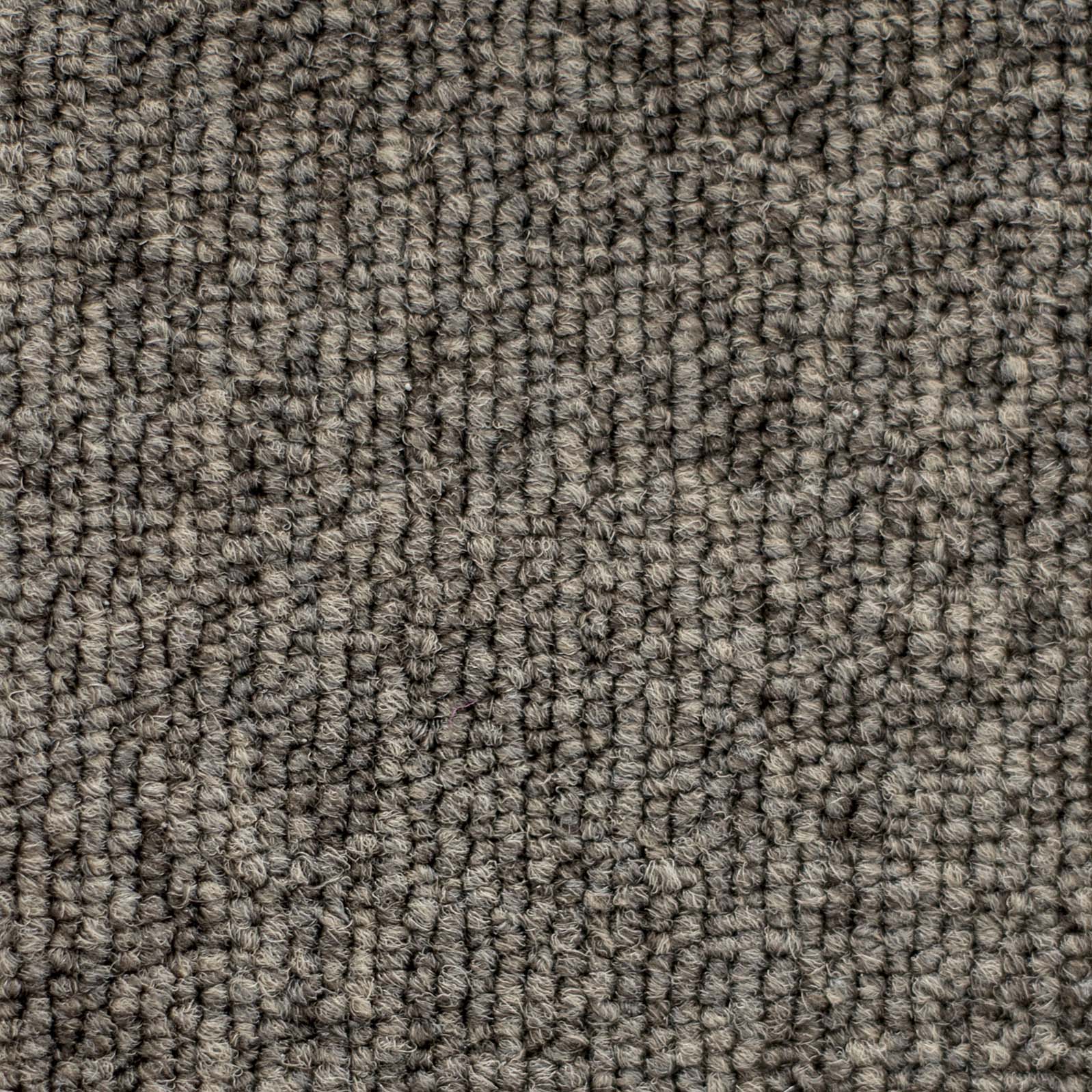 Ковролин "Зартекс" Daily 68 коричневый (4м) — купить в Краснодаре