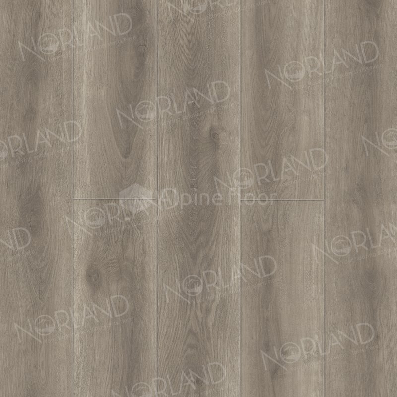 SPC Ламинат "Norland" Templet (1220*196*8 мм) — купить в Краснодаре