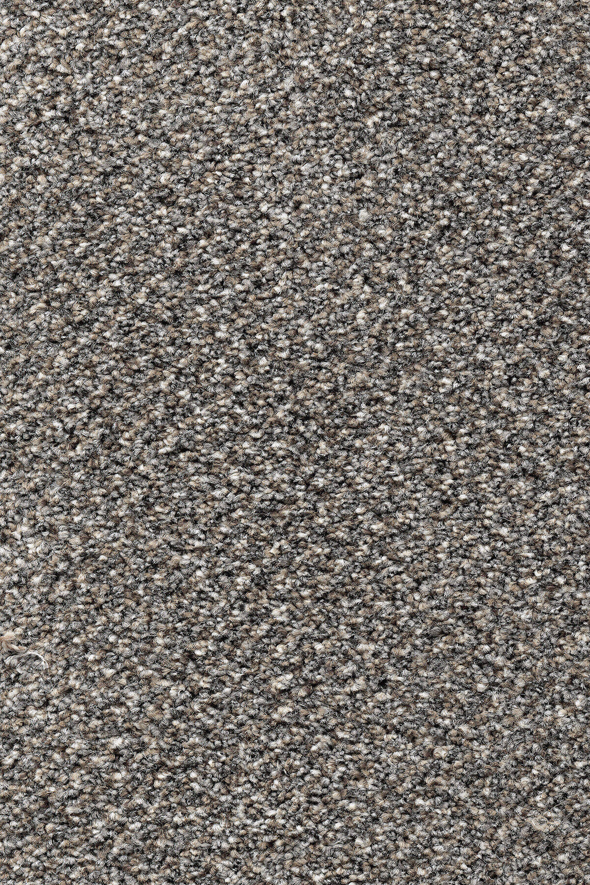 Ковровое покрытие "Bonkeel" Stainaway Tweed 93 (ширина 4м) — купить в Краснодаре
