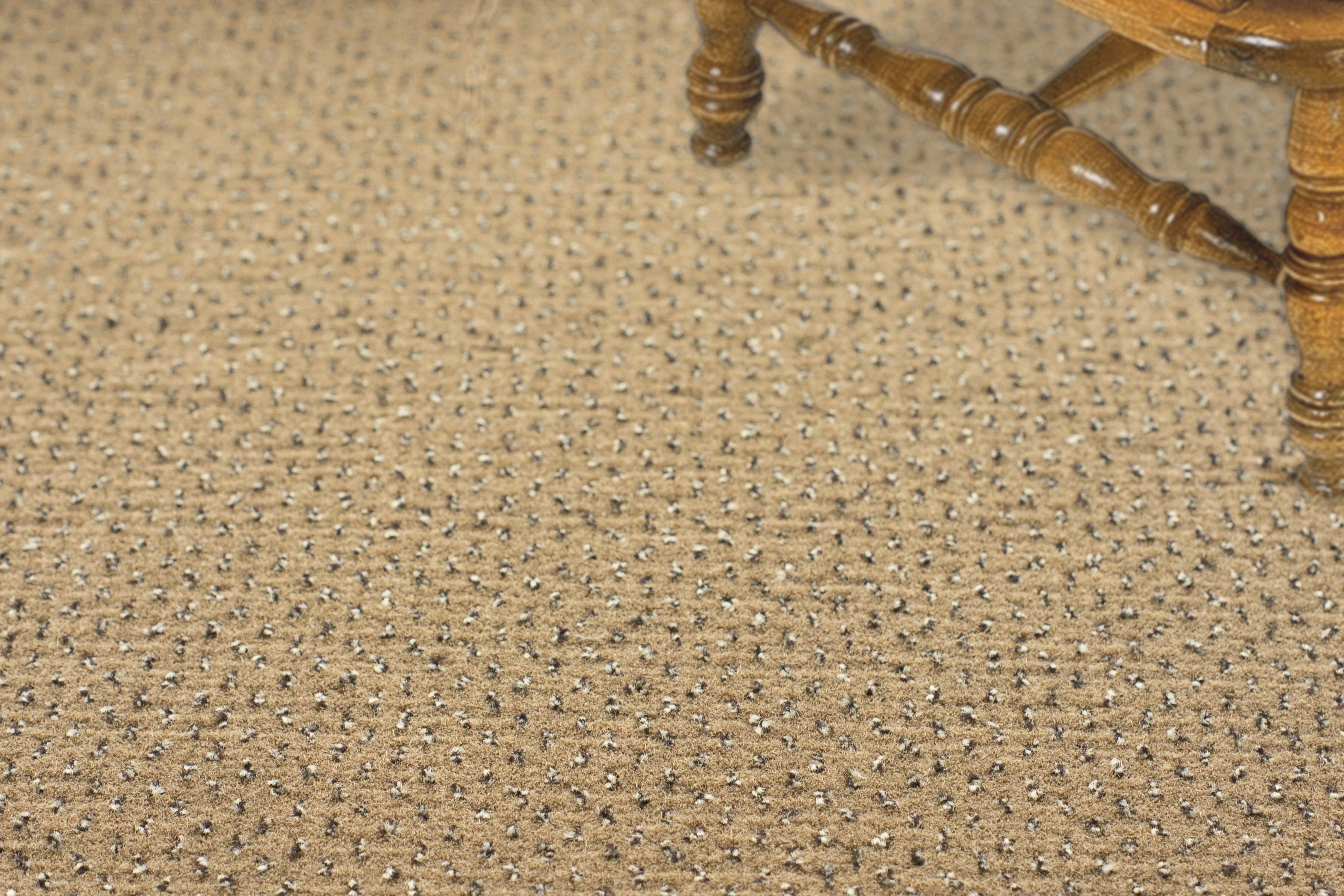 Ковролин "Зартекс" Eternity 142 бежевый (4м) — купить в Краснодаре