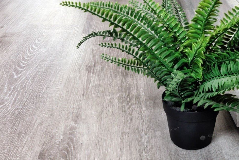 Виниловый ламинат "Alpine Floor" Classic Light MC Ясень Серый (1220*183*3,5 мм) — купить в Краснодаре